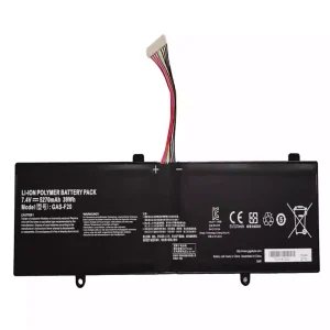 Bateria Notebook GAS-F20