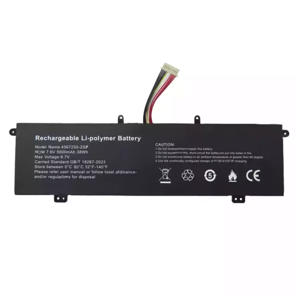 Bateria Notebook 4567250-2SP